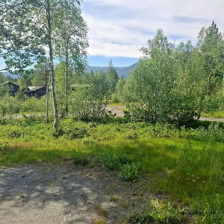 Family Cluster By Waterfall In Bjorli